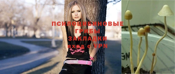 дмт Баксан