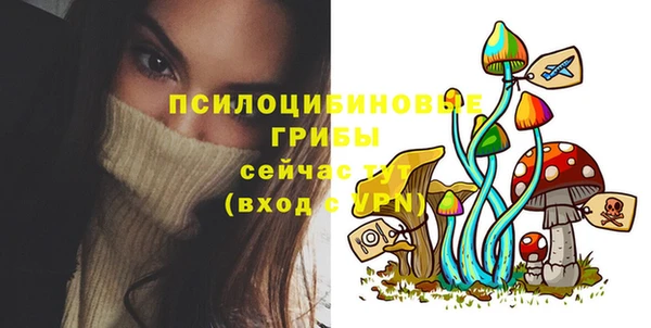 винт Касимов