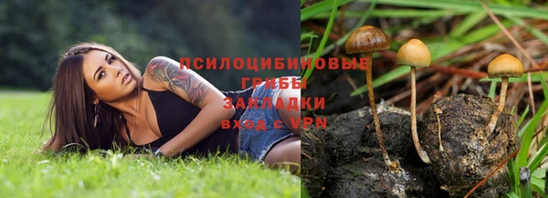 метадон Аркадак